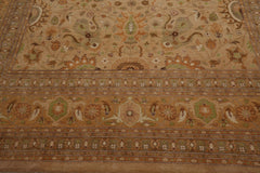 Knotted Rug Lime Brown Hand Knotted 9'x12' Pak Persian 16/18 Traditional 300 KPSI 100% Wool Oriental Area Rug