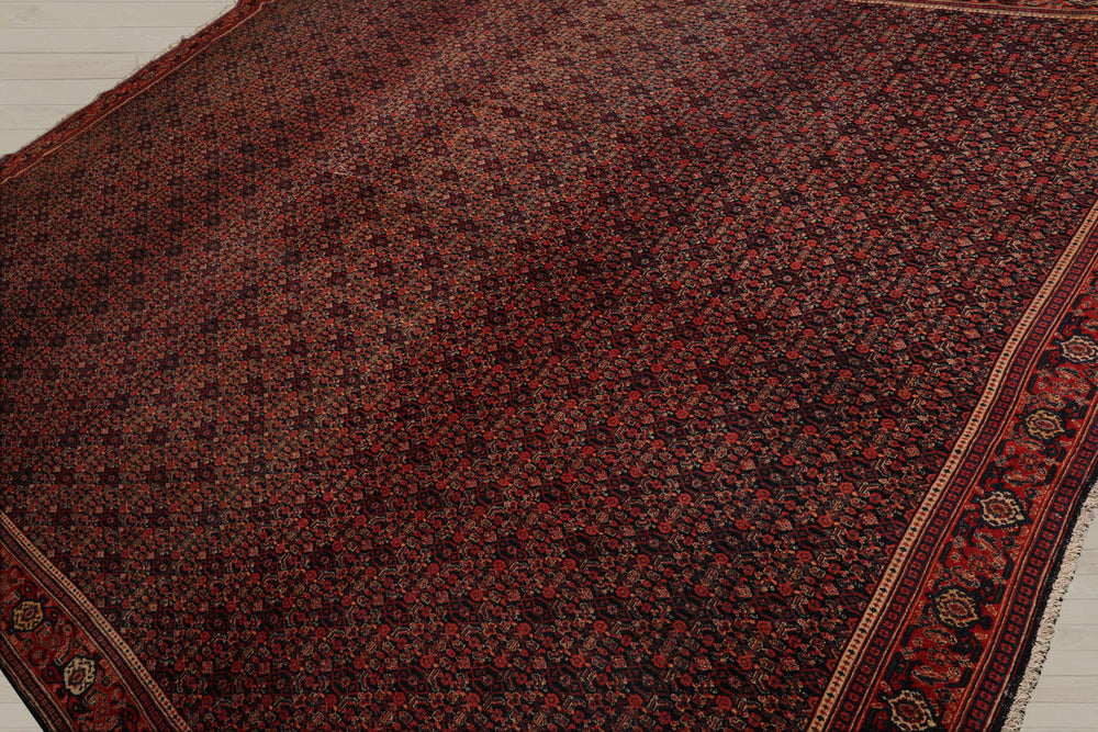 10x14 Black, Orange, Gold Color Hand Knotted 100% Wool Traditional Oriental Rug