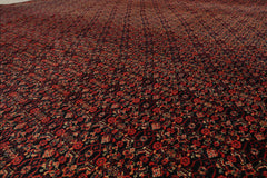 10x14 Black, Orange, Gold Color Hand Knotted 100% Wool Traditional Oriental Rug