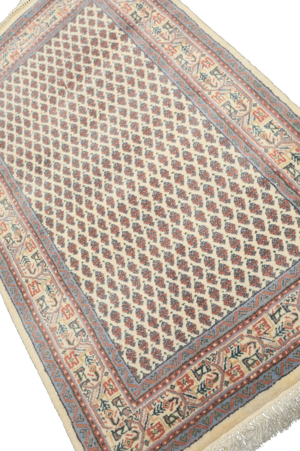 3x5 Ivory, Rose, Blue Color Hand Knotted Wool Traditional Oriental Rug