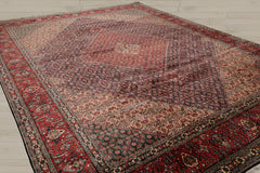 10x14 Midnight Blue, Coral, Ivory Color Hand Knotted Bidjar 100% Wool Traditional Oriental Rug