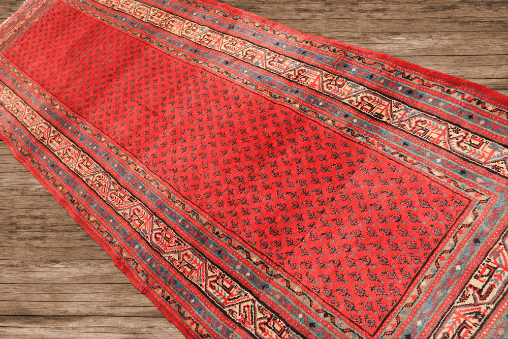 Runner Coral, Ivory, Aqua Color Hand Knotted Kurdish Bidjar Herati Wool Traditional Oriental Rug