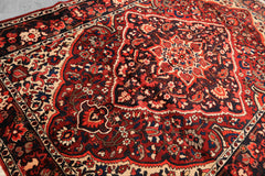 7x10 Rust, Ivory, Midnight Blue Color Hand Knotted Bakhtiari Wool Traditional Oriental Rug
