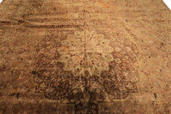 Palace Tan, Sage, Brown Color Hand Knotted Indo Persian Wool Transitional Oriental Rug