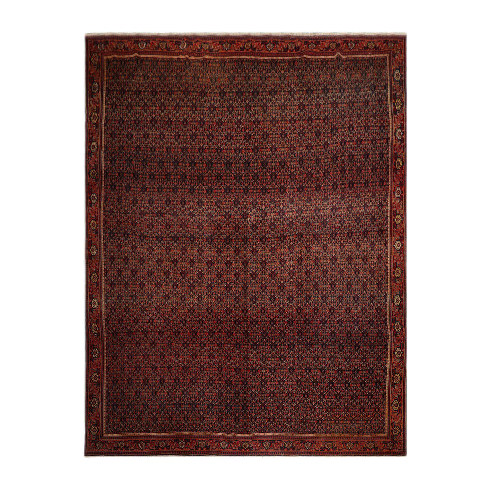 10x14 Black, Orange, Gold Color Hand Knotted 100% Wool Traditional Oriental Rug