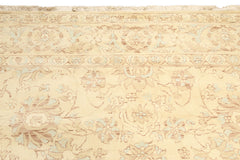 9x12 Beige, Aqua, Brown Color Hand Knotted Wool Traditional Oriental Rug