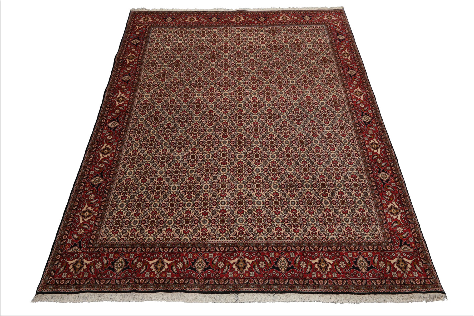 8x11 Ivory, Rose, Black Color Hand Knotted Bidjar 100% Wool Traditional Oriental Rug
