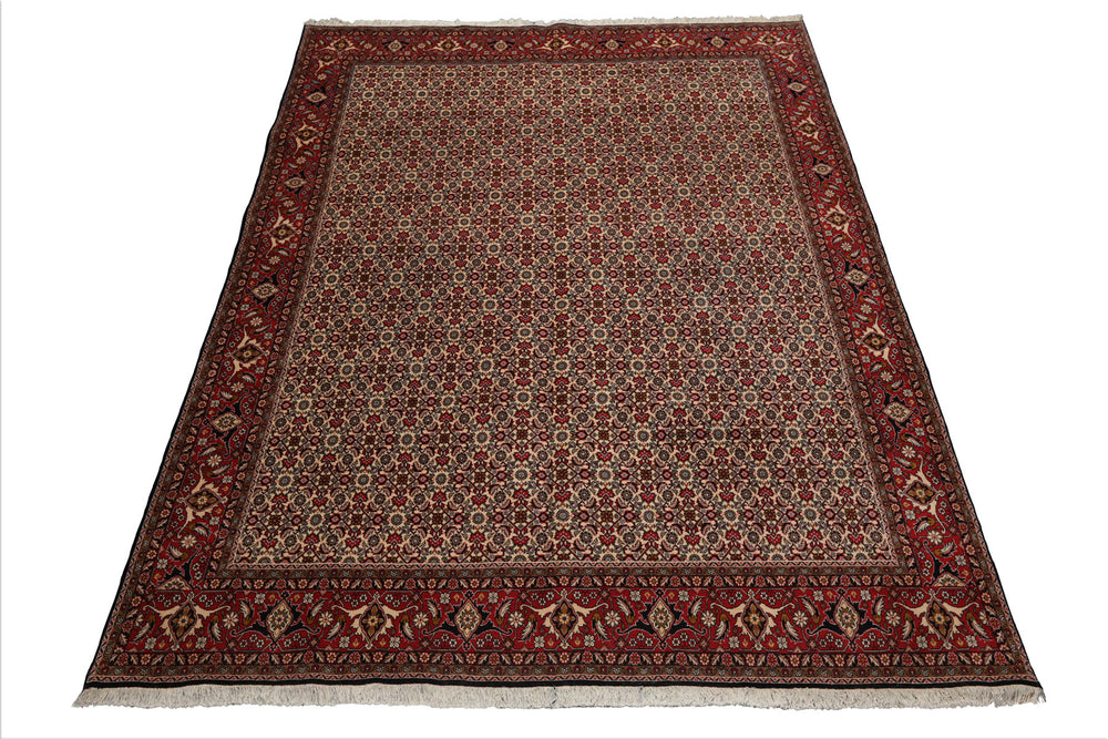 8x11 Ivory, Rose, Black Color Hand Knotted Bidjar 100% Wool Traditional Oriental Rug