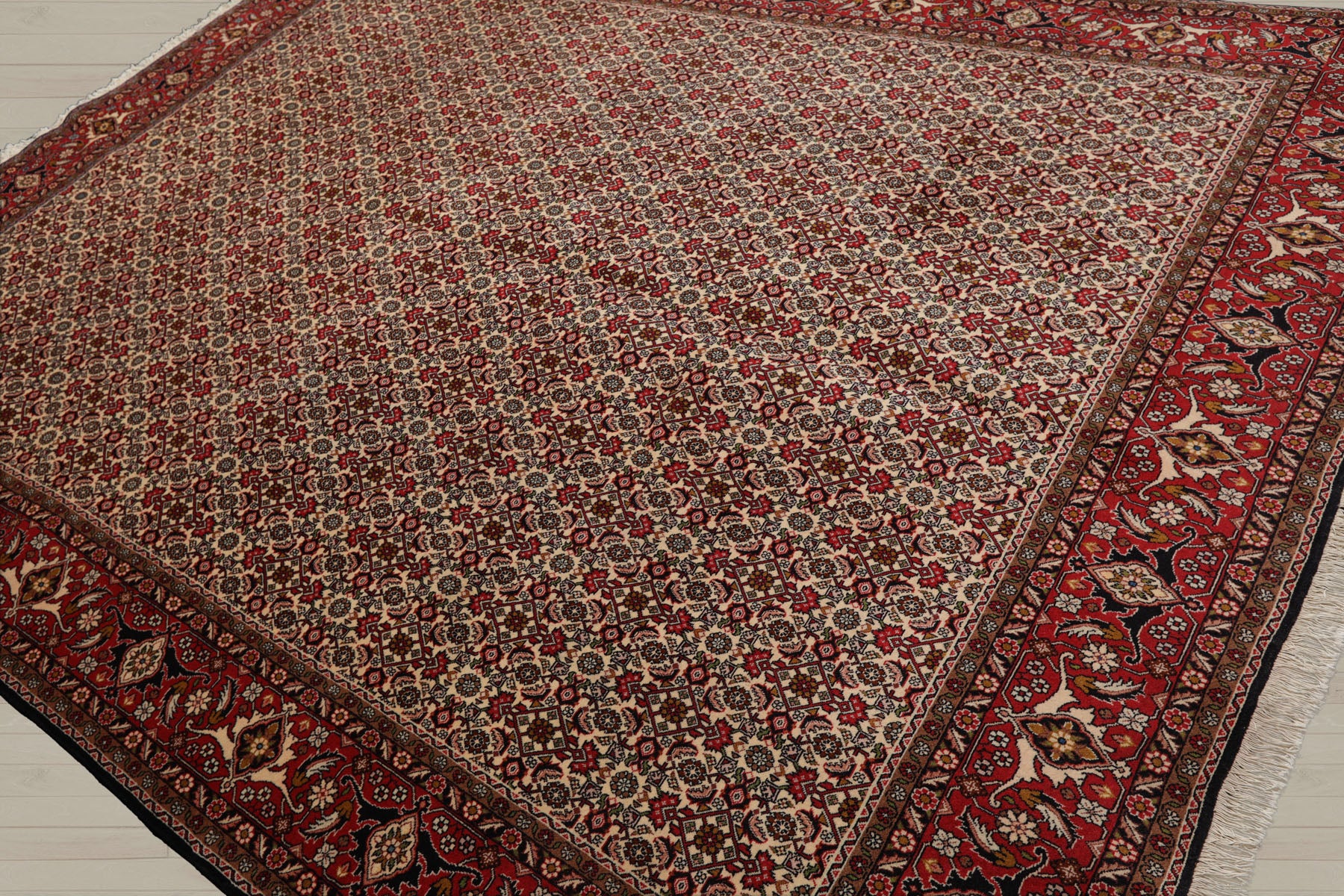 8x11 Ivory, Rose, Black Color Hand Knotted Bidjar 100% Wool Traditional Oriental Rug