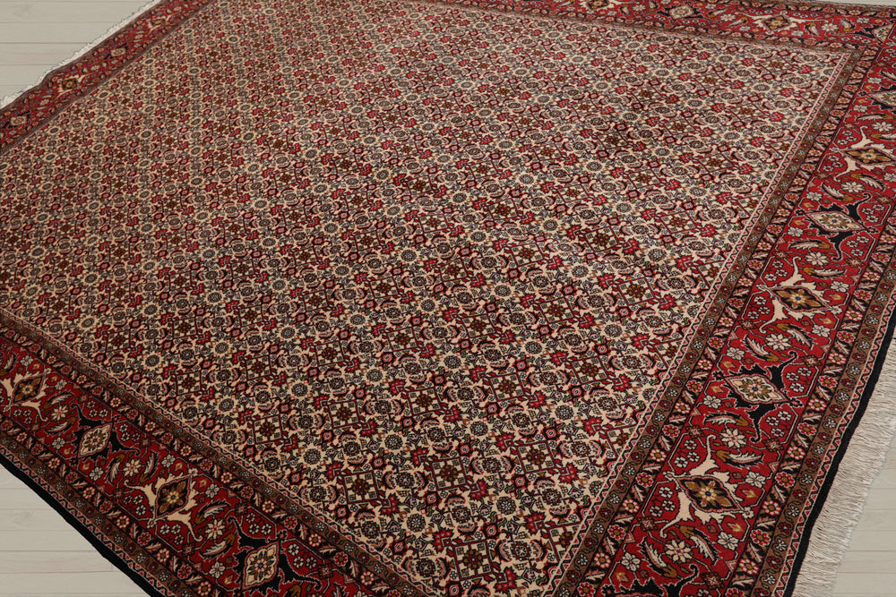 8x11 Ivory, Rose, Black Color Hand Knotted Bidjar 100% Wool Traditional Oriental Rug