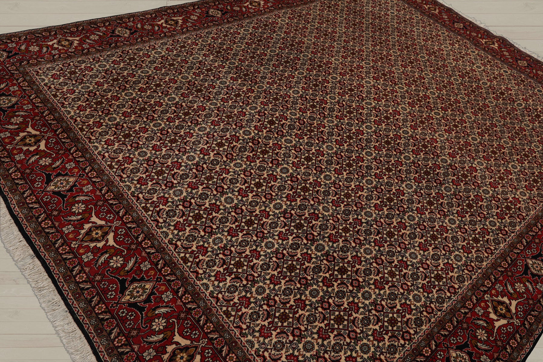 8x11 Ivory, Rose, Black Color Hand Knotted Bidjar 100% Wool Traditional Oriental Rug