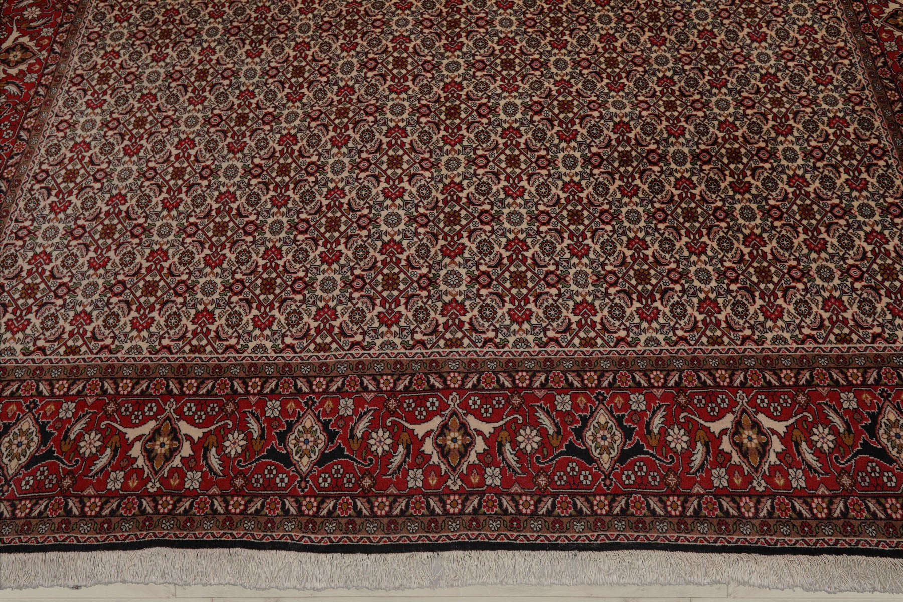 8x11 Ivory, Rose, Black Color Hand Knotted Bidjar 100% Wool Traditional Oriental Rug