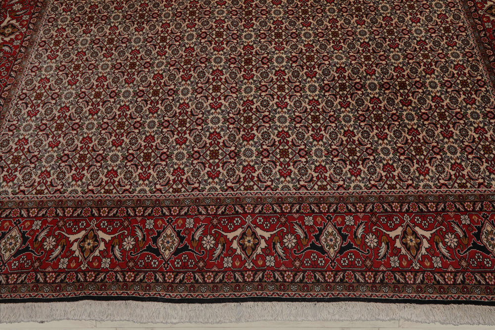8x11 Ivory, Rose, Black Color Hand Knotted Bidjar 100% Wool Traditional Oriental Rug