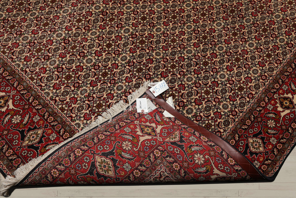 8x11 Ivory, Rose, Black Color Hand Knotted Bidjar 100% Wool Traditional Oriental Rug
