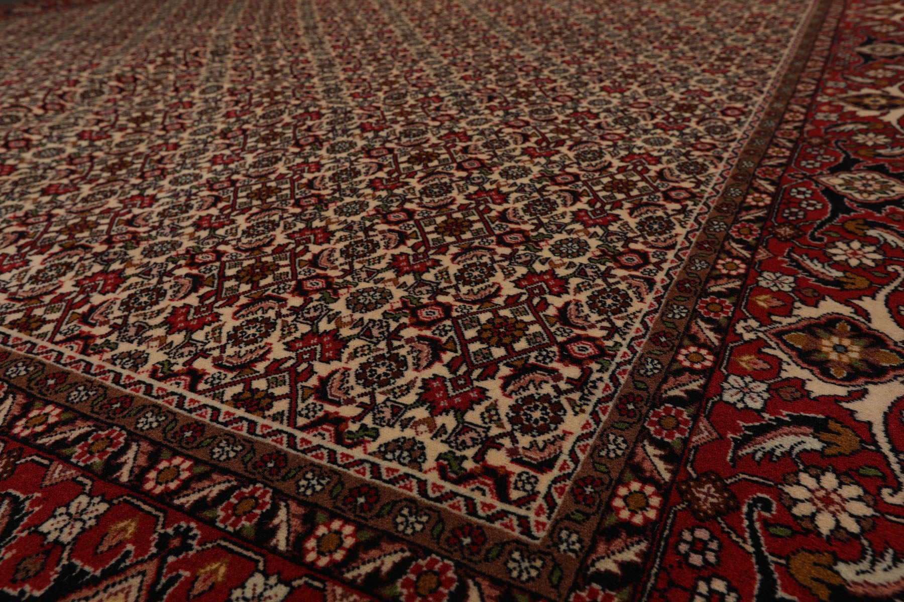 8x11 Ivory, Rose, Black Color Hand Knotted Bidjar 100% Wool Traditional Oriental Rug