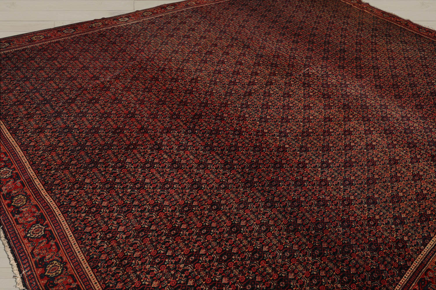 10x14 Black, Orange, Gold Color Hand Knotted  100% Wool Traditional Oriental Rug
