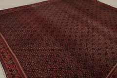 10x14 Black, Orange, Gold Color Hand Knotted  100% Wool Traditional Oriental Rug