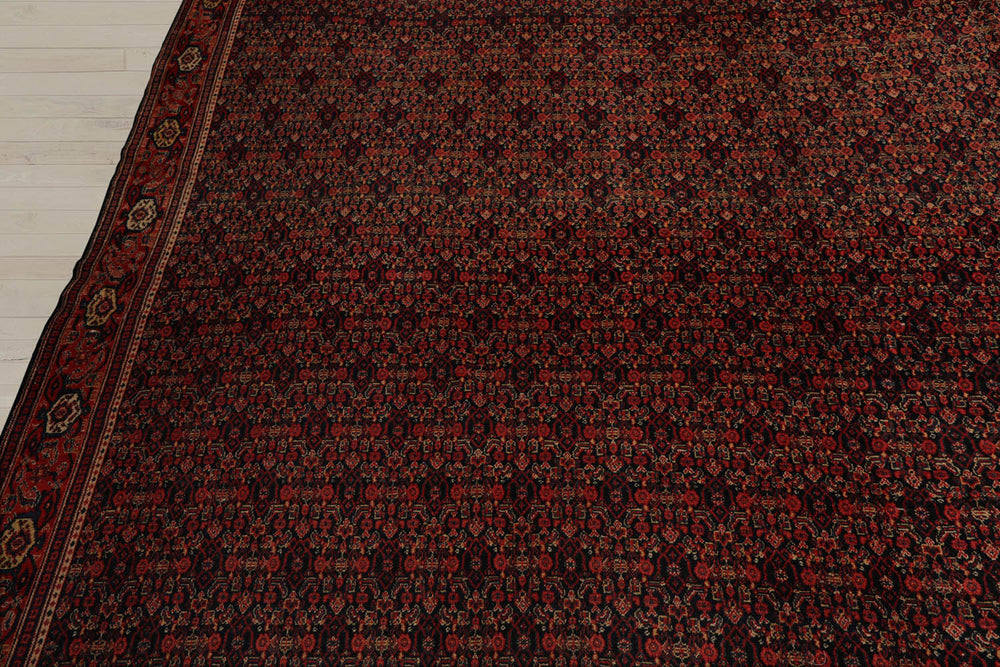 10x14 Black, Orange, Gold Color Hand Knotted  100% Wool Traditional Oriental Rug