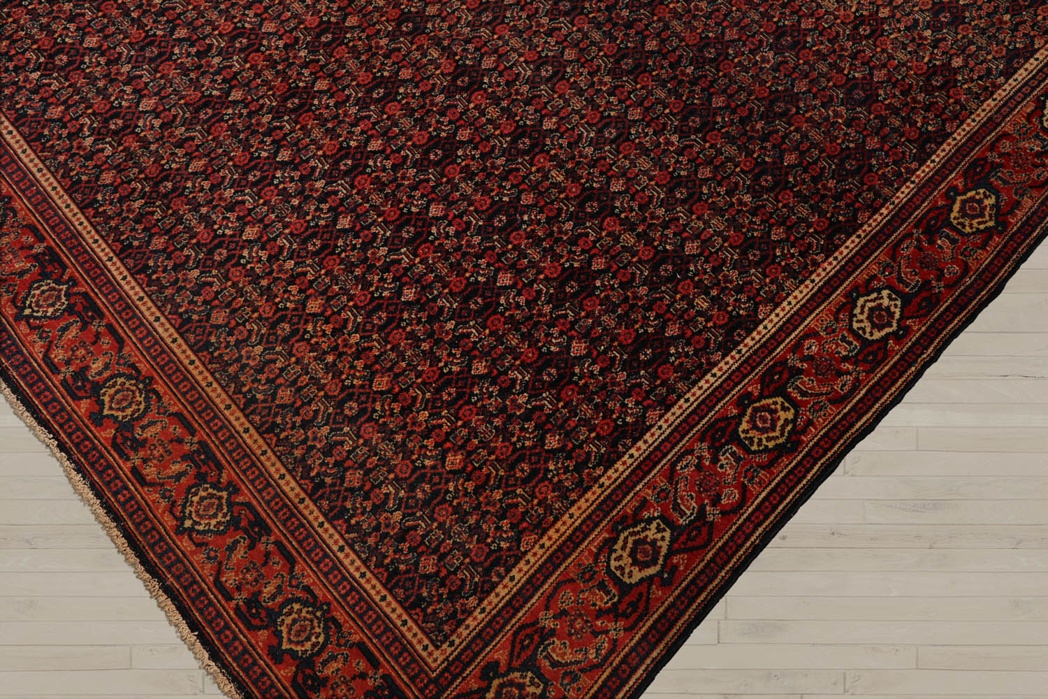 10x14 Black, Orange, Gold Color Hand Knotted  100% Wool Traditional Oriental Rug