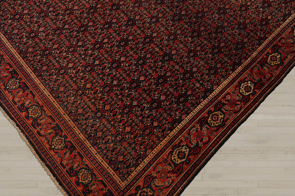 10x14 Black, Orange, Gold Color Hand Knotted  100% Wool Traditional Oriental Rug