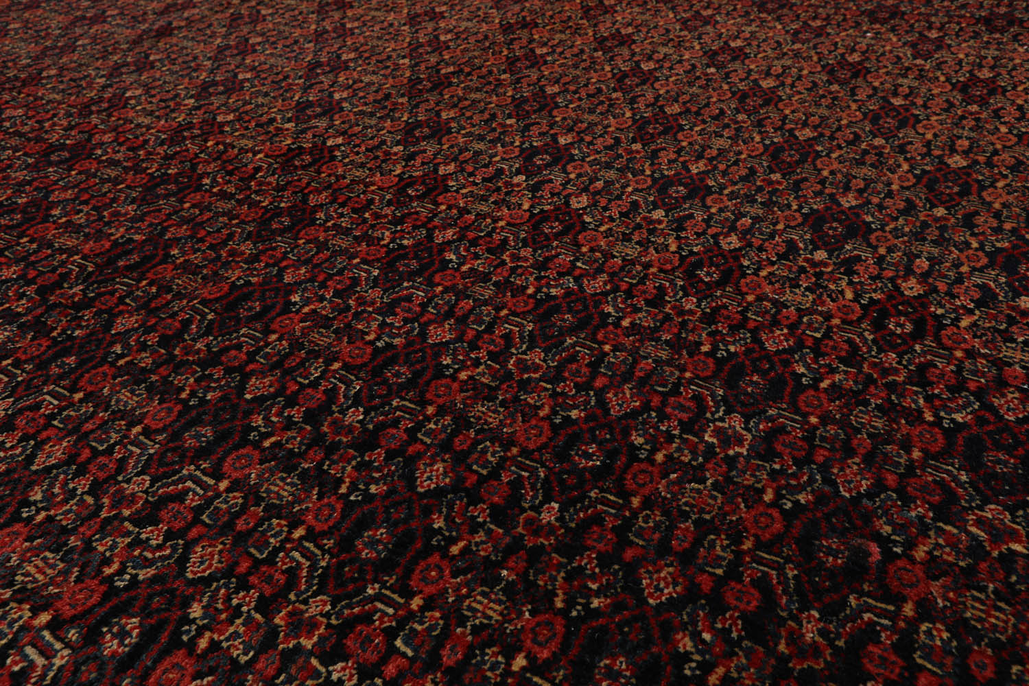 10x14 Black, Orange, Gold Color Hand Knotted  100% Wool Traditional Oriental Rug