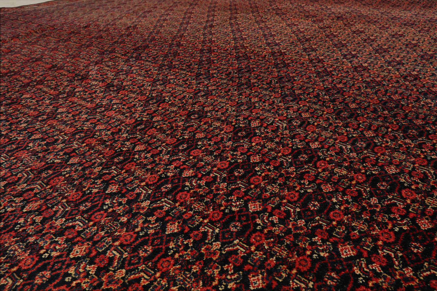 10x14 Black, Orange, Gold Color Hand Knotted  100% Wool Traditional Oriental Rug