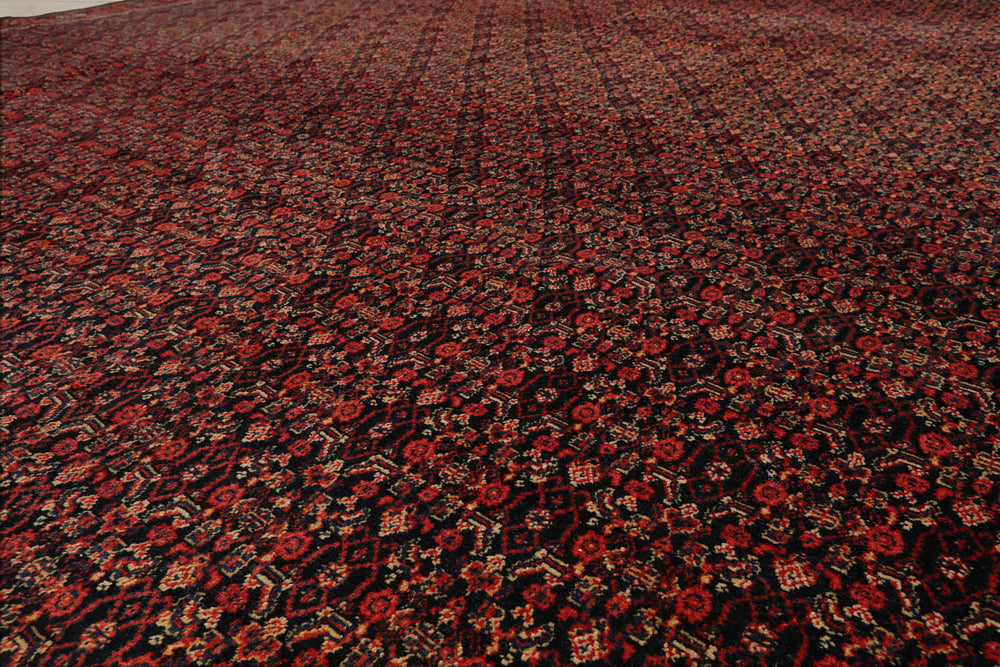 10x14 Black, Orange, Gold Color Hand Knotted  100% Wool Traditional Oriental Rug