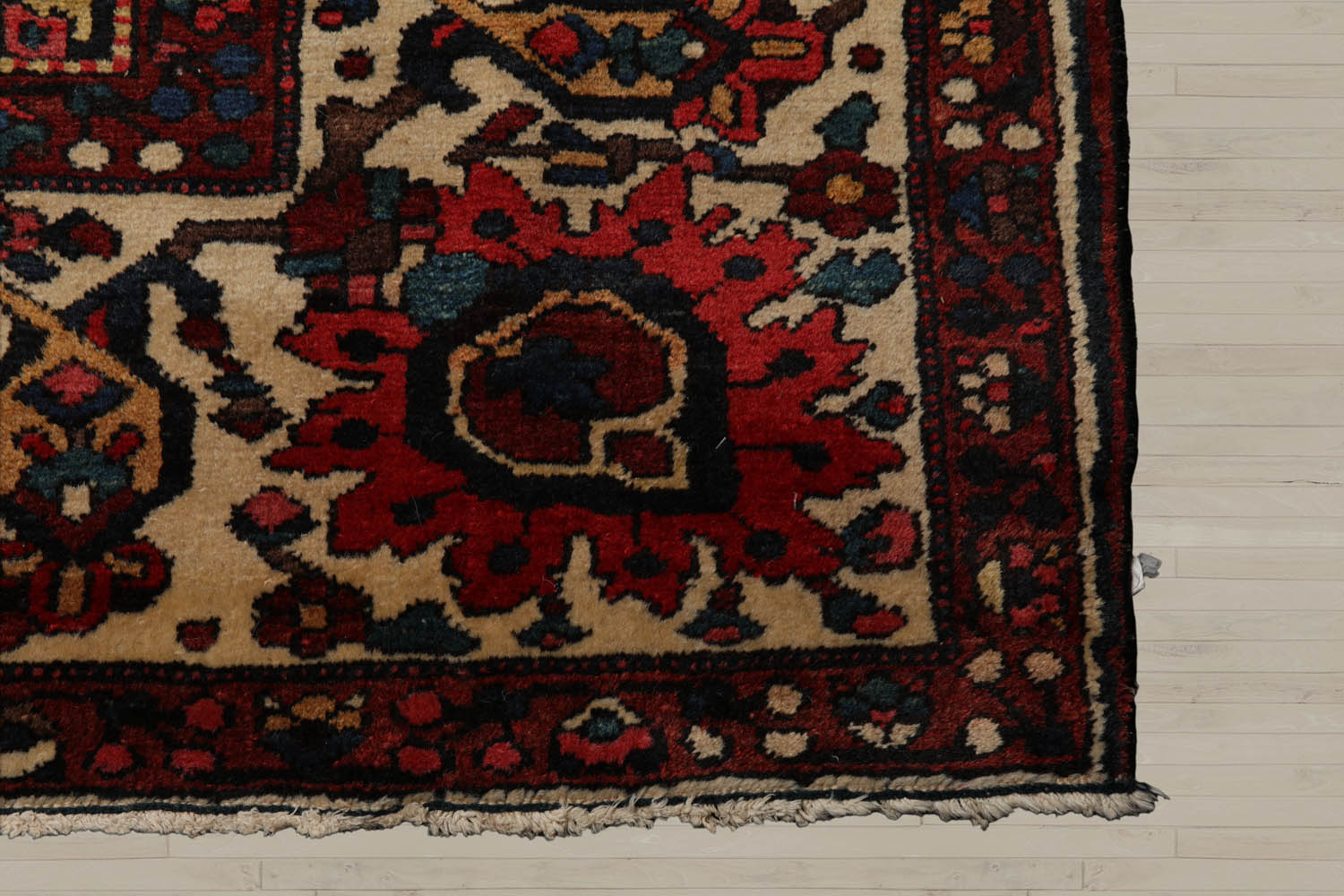 Palace Rust, Ivory, Navy Color Hand Knotted Bakhtiari 100% Wool Traditional Oriental Rug
