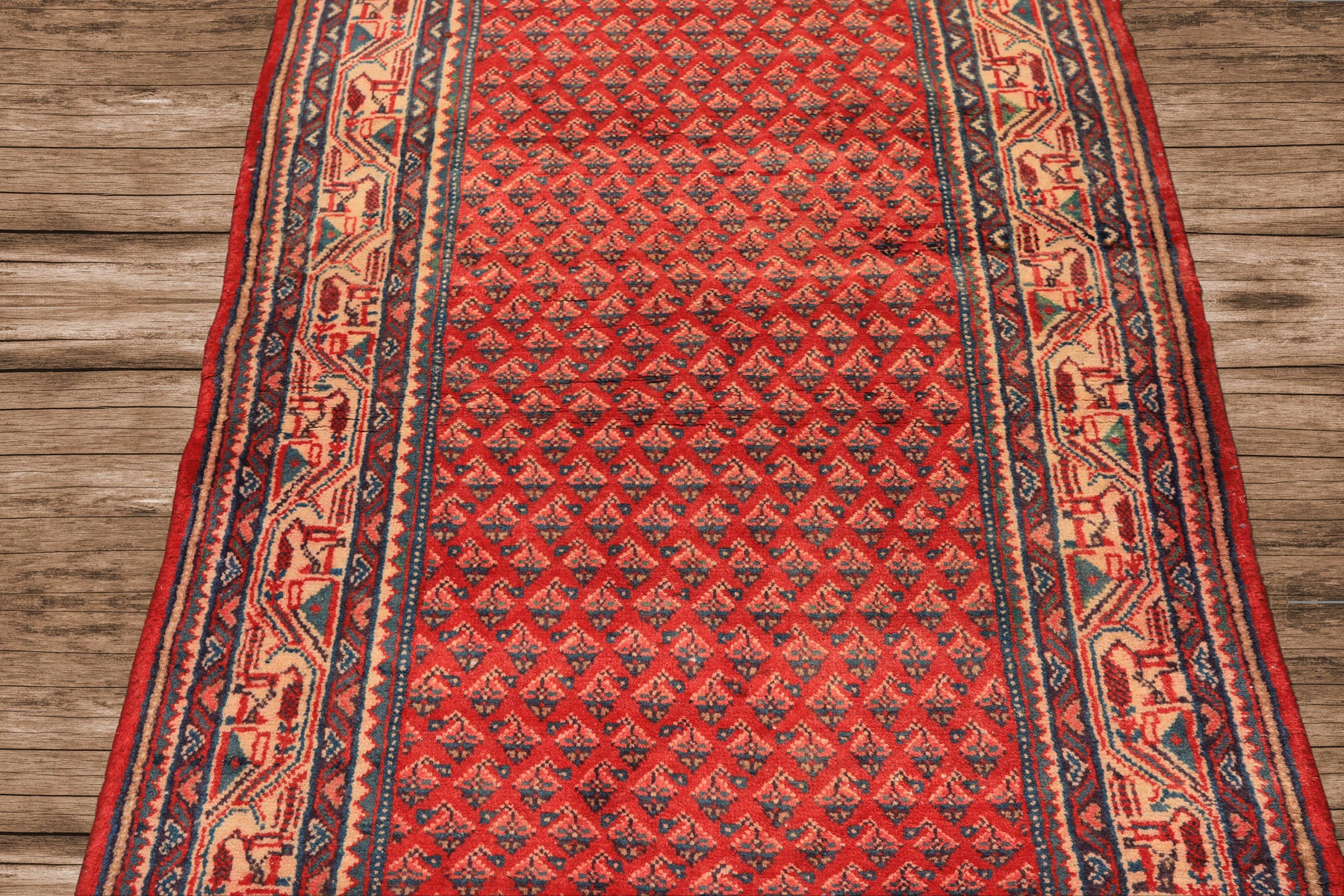 Runner Coral, Ivory, Aqua Color Hand Knotted Kurdish Bidjar Herati Wool Traditional Oriental Rug