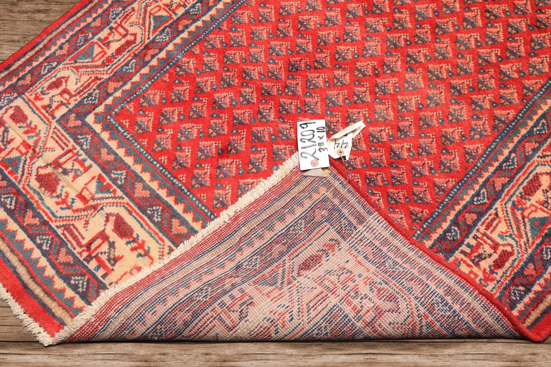 Runner Coral, Ivory, Aqua Color Hand Knotted Kurdish Bidjar Herati Wool Traditional Oriental Rug