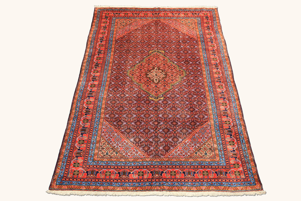6x9 Navy, Orange, Blue Color Hand Knotted Meshkin Wool Traditional Oriental Rug