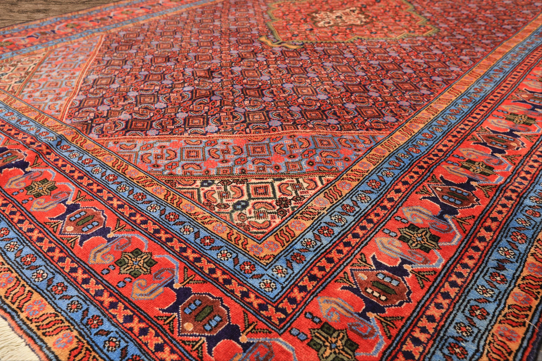 6x9 Navy, Orange, Blue Color Hand Knotted Meshkin Wool Traditional Oriental Rug