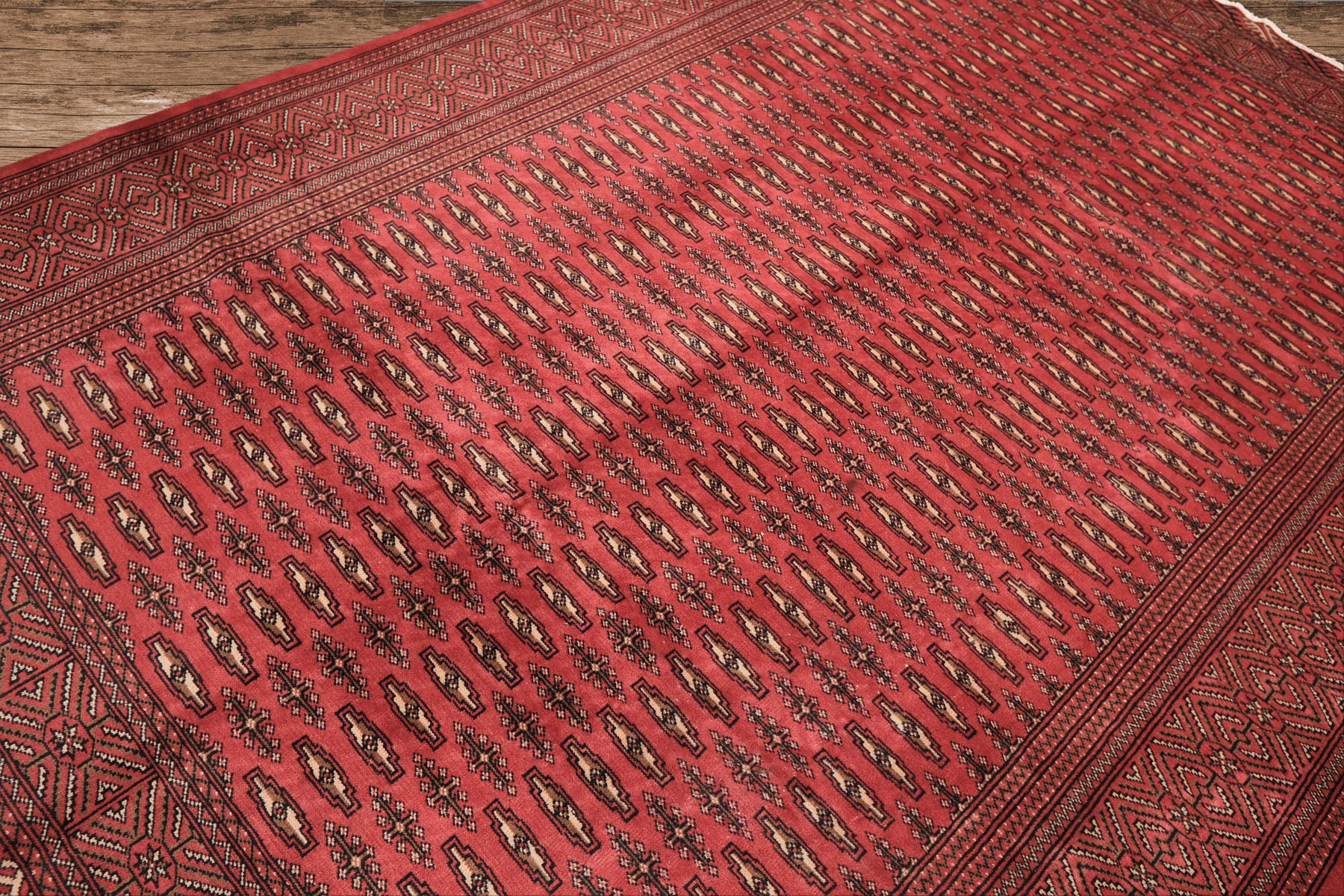 6x9 Rose, Ivory, Charcoal Color Hand Knotted Turkmen Wool Traditional Oriental Rug