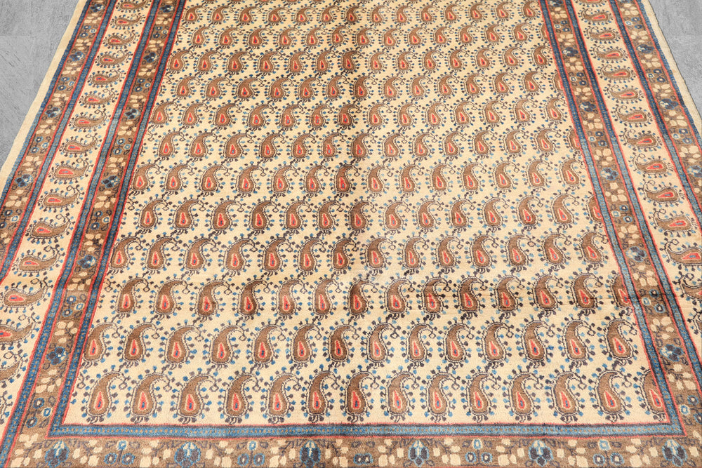 7x10 Beige, Camel, Blue Color Hand Knotted Birjand Wool Traditional Oriental Rug
