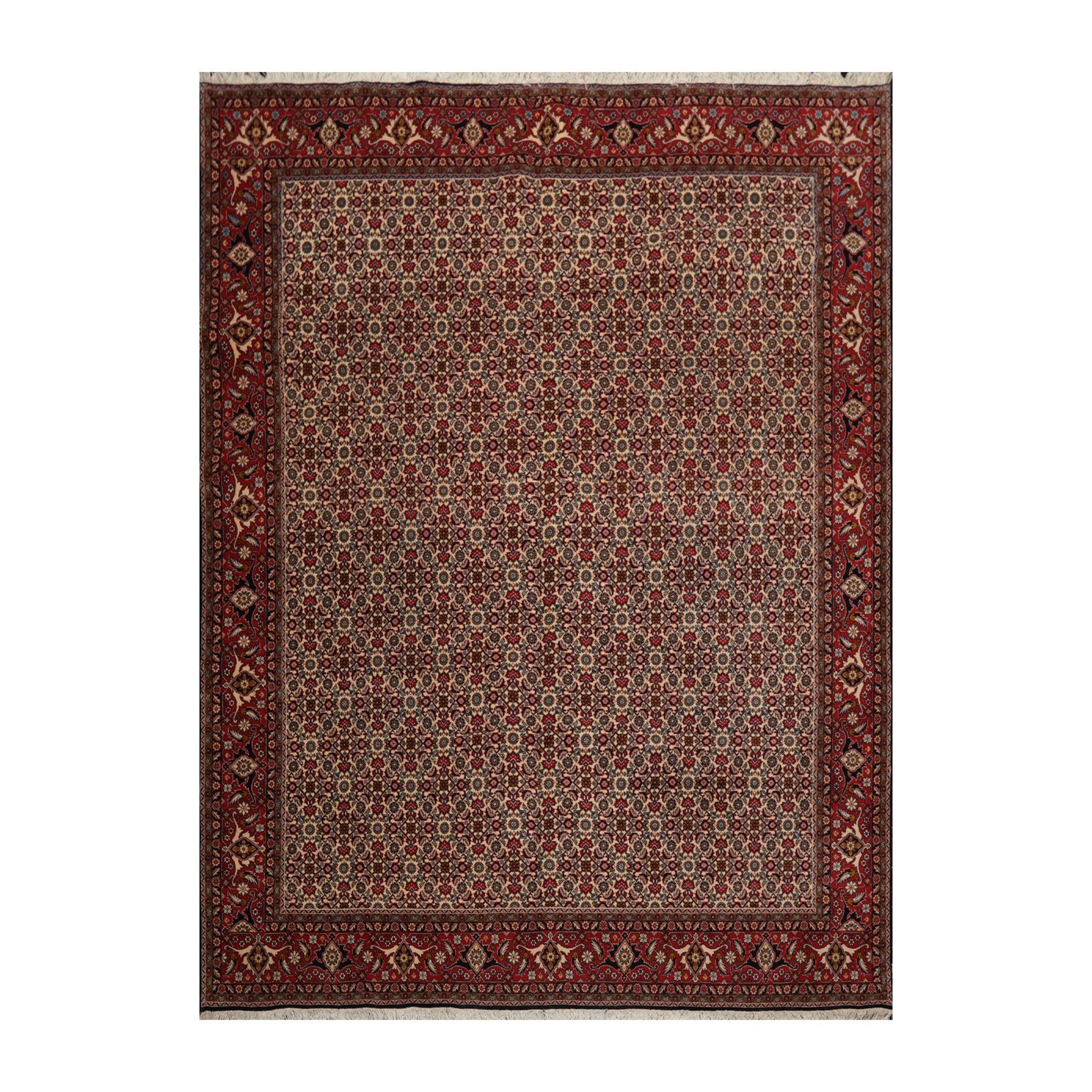 8x11 Ivory, Rose, Black Color Hand Knotted Bidjar 100% Wool Traditional Oriental Rug