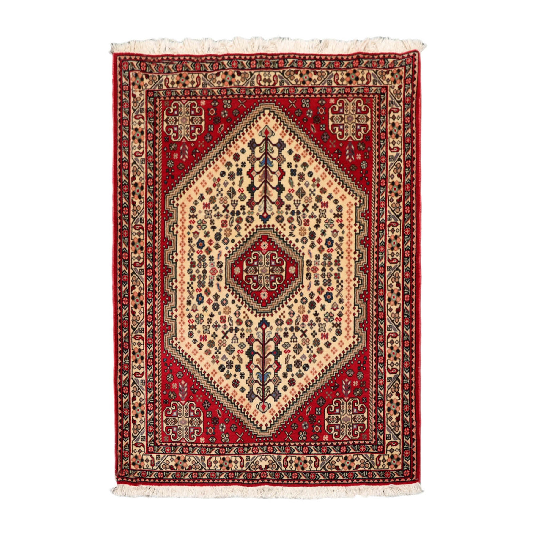 3x5 Ivory, Red, Aqua Color Hand Knotted Abadeh 100% Wool Traditional Oriental Rug