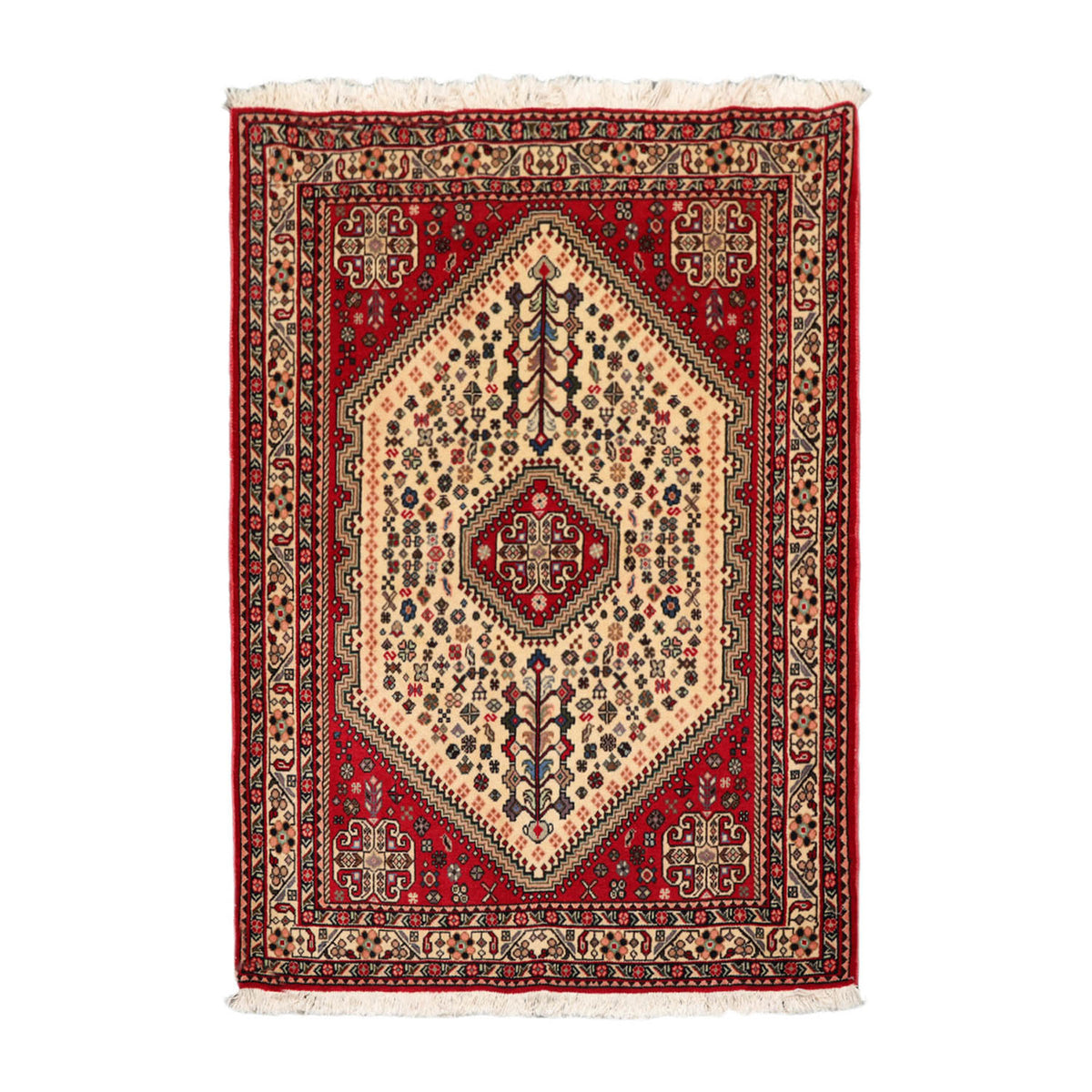 3x5 Ivory, Red, Aqua Color Hand Knotted Abadeh 100% Wool Traditional Oriental Rug