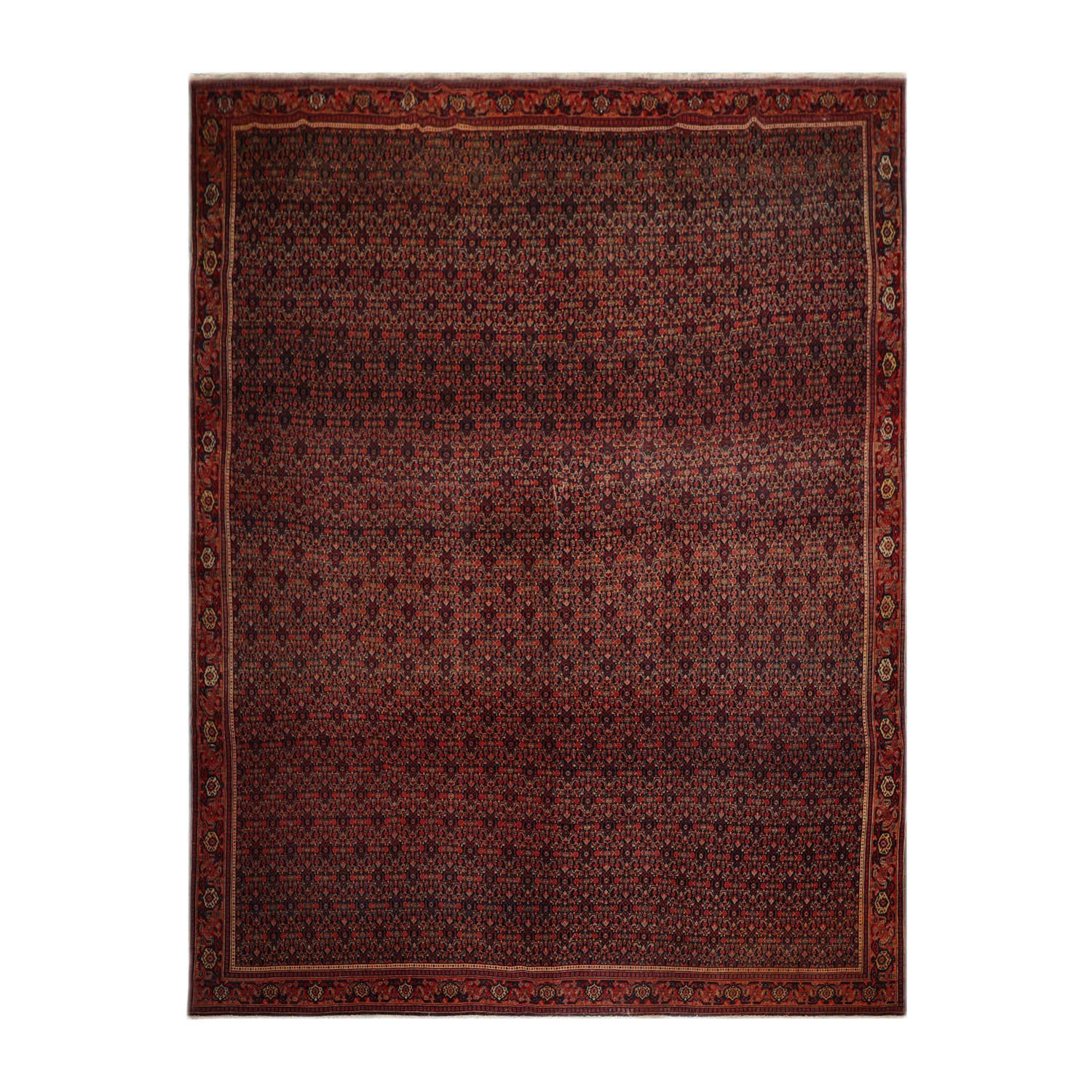 10x14 Black, Orange, Gold Color Hand Knotted  100% Wool Traditional Oriental Rug